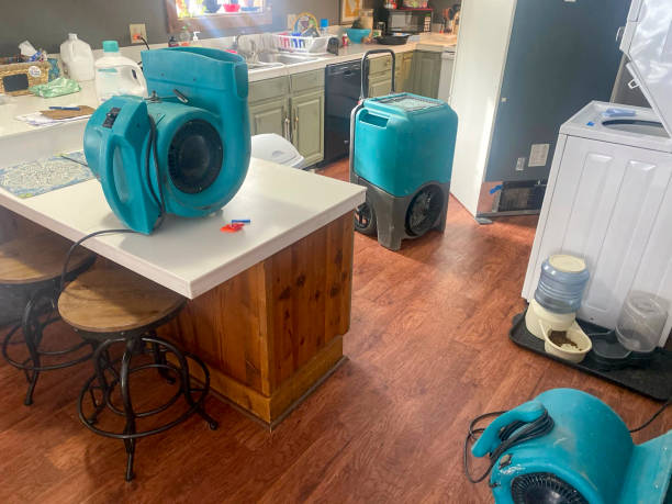 Best Flood damage cleanup  in Glasgow, VA