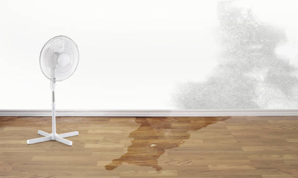Best Carpet water damage restoration  in Glasgow, VA