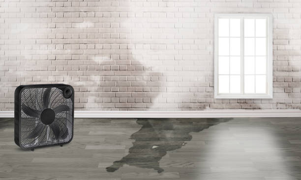Best Water damage cleanup near me  in Glasgow, VA
