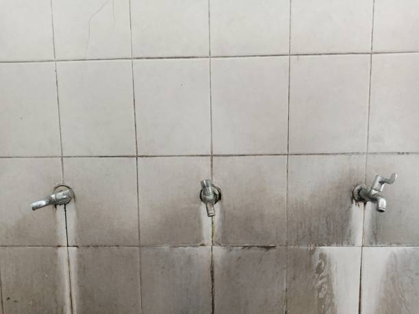 Best Water damage repair service  in Glasgow, VA