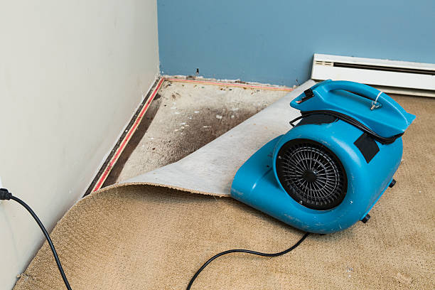 Best Water damage restoration company  in Glasgow, VA